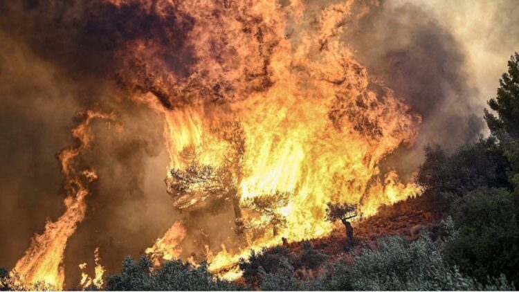 Las autoridades debieron evacuar a los 25.000 habitantes de Ano Liosia.