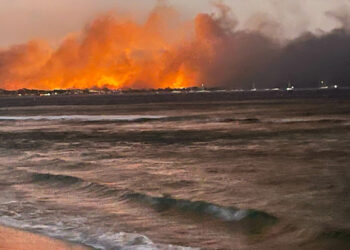 Los muertos en Hawái ascienden a 93 y la isla de Maui fue calificada como «zona de guerra»