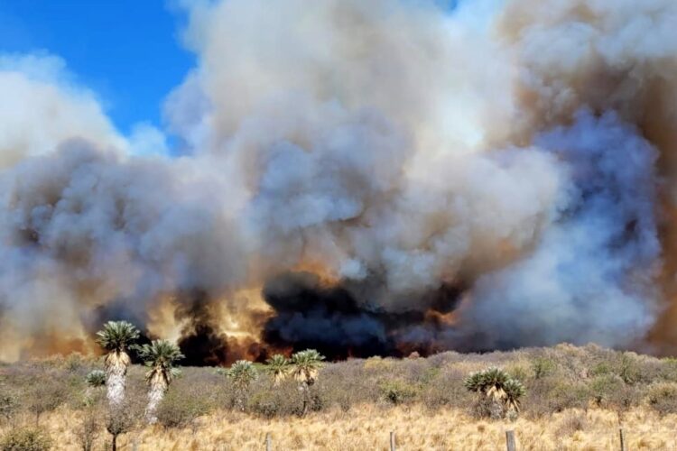 Bomberos combaten un incendio en Ambul