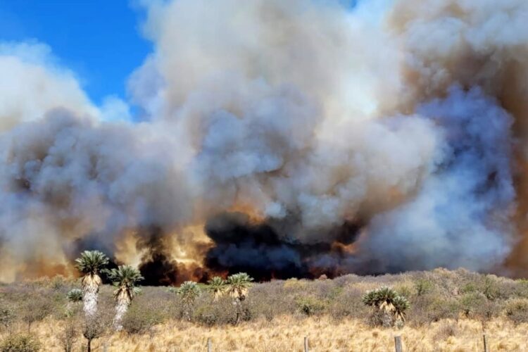 El incendio en Potrero de Garay está contenido con perímetro inestable