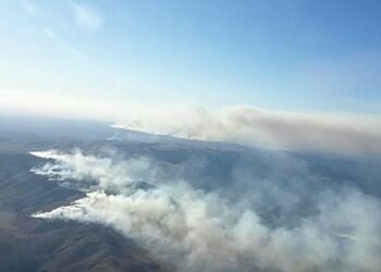 Varios incendios siguen activos en Córdoba, donde hay casas afectadas, evacuados y cortes de ruta