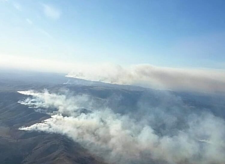 Varios incendios siguen activos en Córdoba, donde hay casas afectadas, evacuados y cortes de ruta