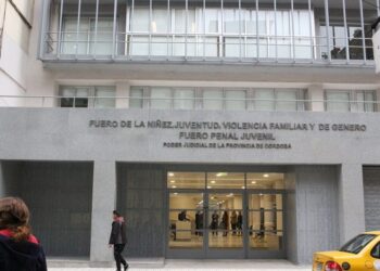 Pusieron en adopción a una niña nacida tras la aplicación de la ILE