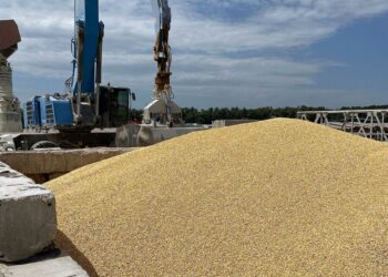 Kiev acusó a Rusia de atacar un puerto donde exporta granos