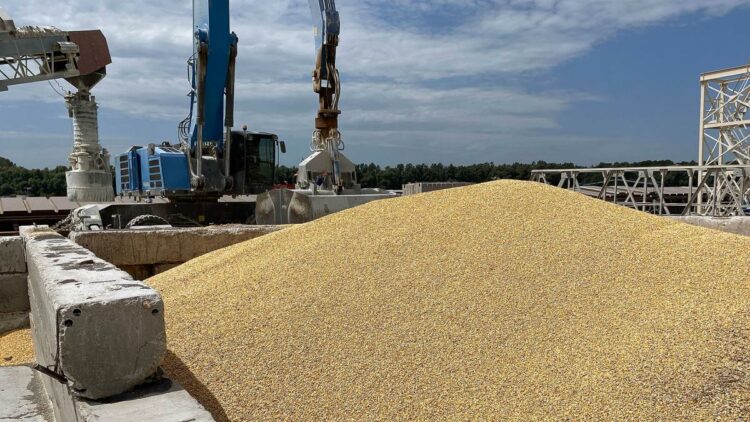 Dos puertos fluviales de la provincia de Odesa se convirtieron en la principal ruta de salida de los productos agrícolas ucranianos. Foto: AFP.