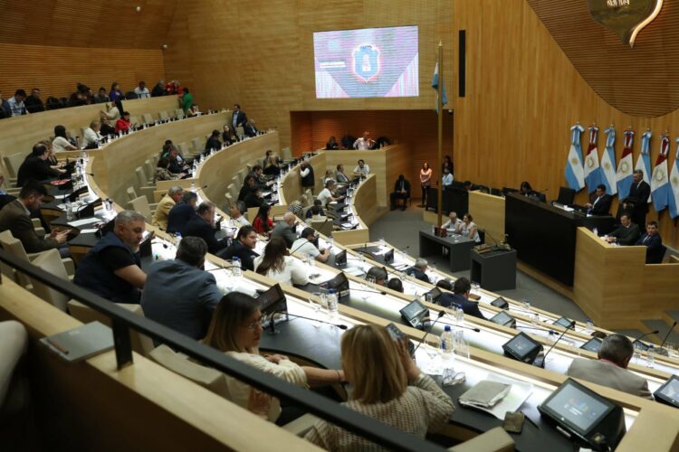 Los legisladores ratificaron el acuerdo que firmó la Provincia con la ONU.