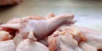 Reabren las exportaciones de carne aviar a Europa y Brasil