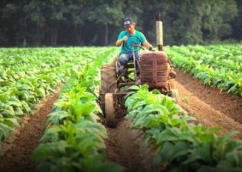 Habrá «retención cero» en una serie de productos y darán ayuda a productores en emergencia