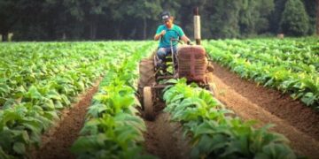 Habrá «retención cero» en una serie de productos y darán ayuda a productores en emergencia