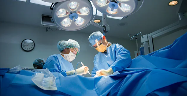 Un paciente recibió un trasplante de riñón de un cerdo modificado genéticamente