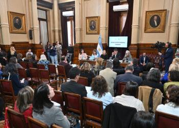 La comisión del Senado dio luz verde al proyecto de regulación de alquileres temporarios