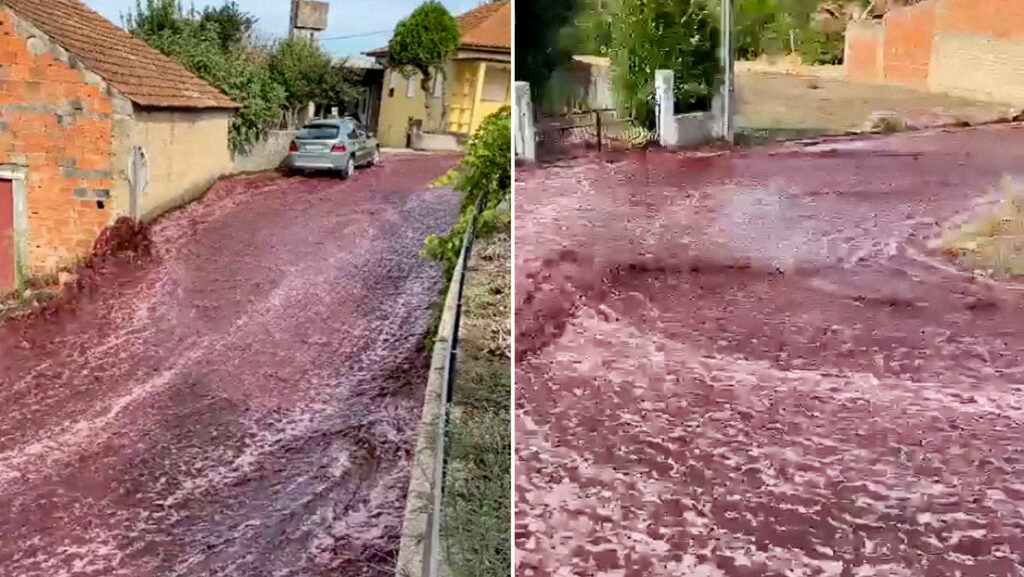 Una calle de Portugal se convirtió un río de vino tinto