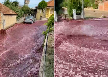 Una calle de Portugal se convirtió un río de vino tinto