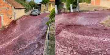 Una calle de Portugal se convirtió un río de vino tinto