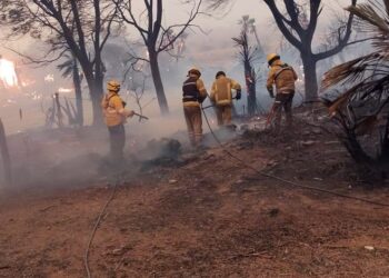 Los incendios afectaron un total de 7.645 hectáreas en Córdoba