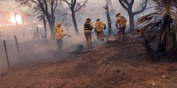 Los incendios afectaron un total de 7.645 hectáreas en Córdoba