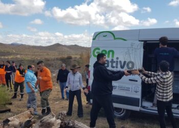 Entregaron 21.000 algarrobos para ayudar en la remediación de zonas afectadas por incendios