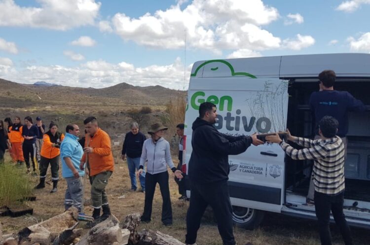 Entregaron 21.000 algarrobos para ayudar en la remediación de zonas afectadas por incendios
