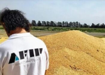 Afip detectó un faltante de granos valuado en millones