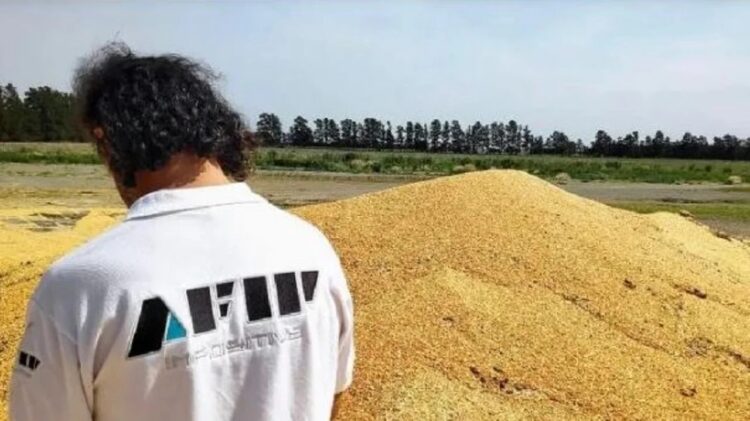 Afip detectó un faltante de granos valuado en millones
