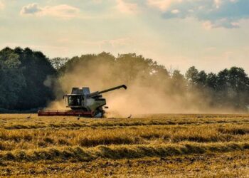 Lanzan una línea de créditos para mipymes y cooperativas del sector agroindustrial