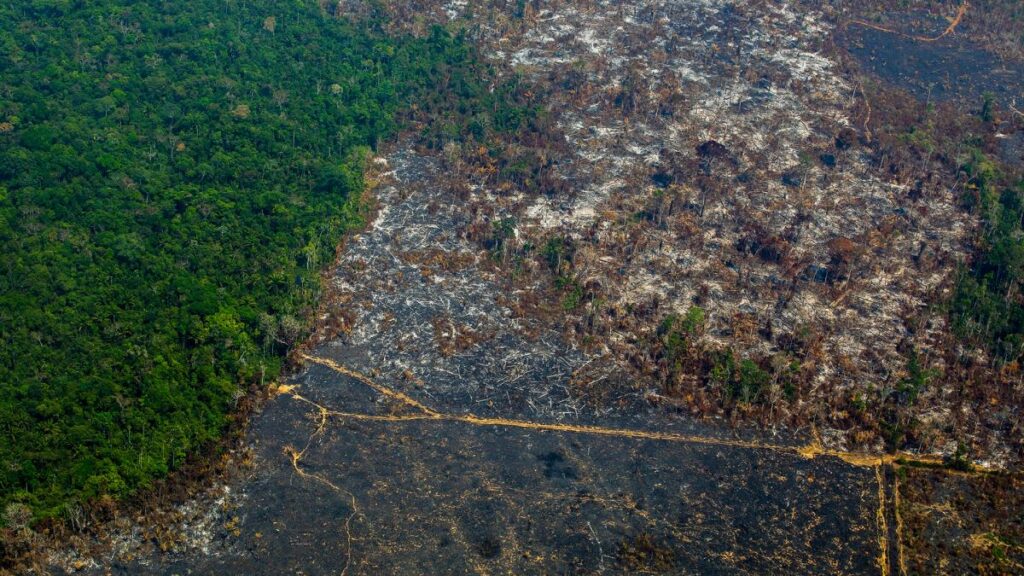 Limitan las tierras indígenas en Brasil