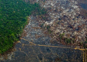 Limitan las tierras indígenas en Brasil