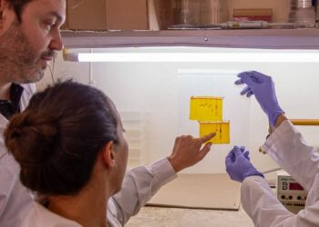 Detectaron bocavirus en pacientes pediátricos