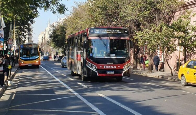Tamse y Coniferal absorben las líneas que abandonó Ersa