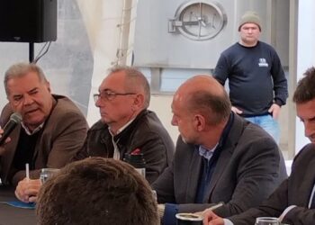 Para Busso, las medidas sobre la lechería «son de corto”