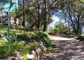 Amparo ambiental contra el municipio de Río Ceballos