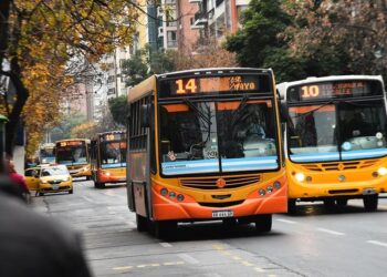 Córdoba recibirá la mitad de los subsidios por no tener la Sube