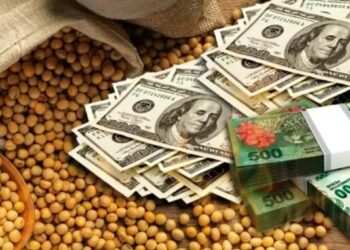 El Gobierno anunció una nueva edición del “dólar soja”