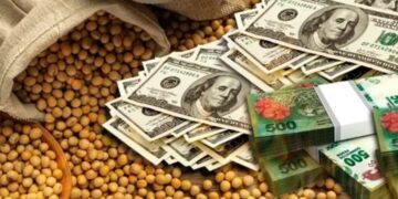 El Gobierno anunció una nueva edición del “dólar soja”