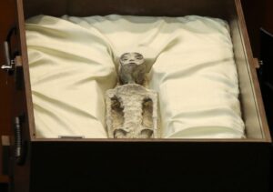 Presentaron cuerpos de supuestos extraterrestres en el Congreso de México