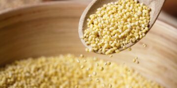 El mijo, un “alimento inteligente” con proyección hacia el futuro