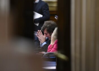La Cámara de Diputados sesiona para tratar la reforma de Ganancias