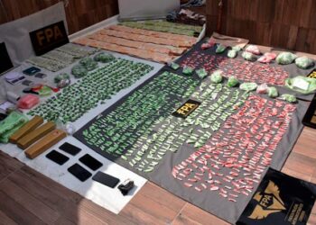 13 detenidos tras la desarticulación de una red familiar dedicada al narcotráfico en Córdoba