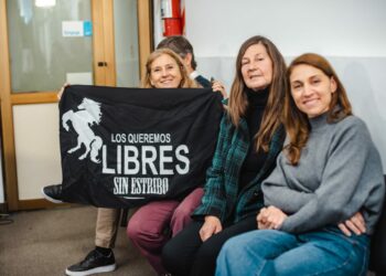 La tracción a sangre animal quedó prohibida en la ciudad