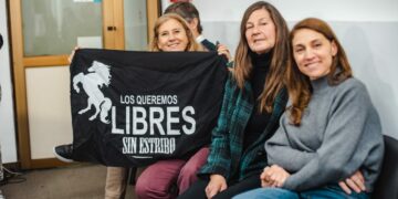 La tracción a sangre animal quedó prohibida en la ciudad