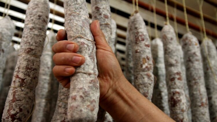 Se registraron brotes de triquinosis en los departamentos Ischilín y Río Cuarto
