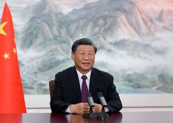 Xi Jinping no asistirá a la cumbre del G20