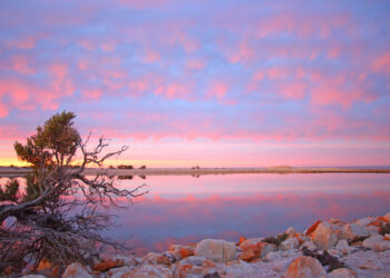 Valles, cerros y lagunas: los lugares de Córdoba idóneos para disfrutar la primavera