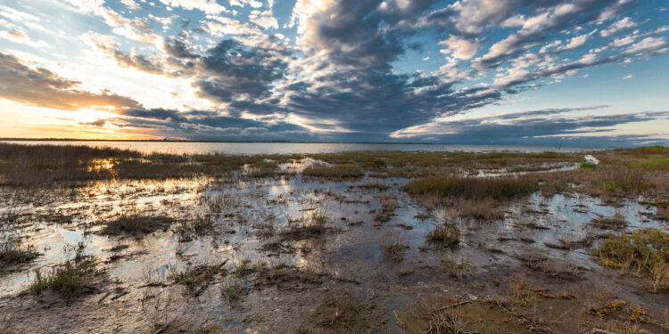 Valles, cerros y lagunas: los lugares de Córdoba idóneos para disfrutar la primavera