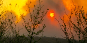 Se reactivaron dos focos en la provincia pero no hay riesgo de viviendas