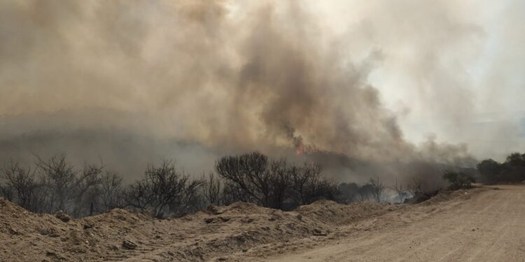 En imágenes, así es la dramática situación del fuego en Córdoba