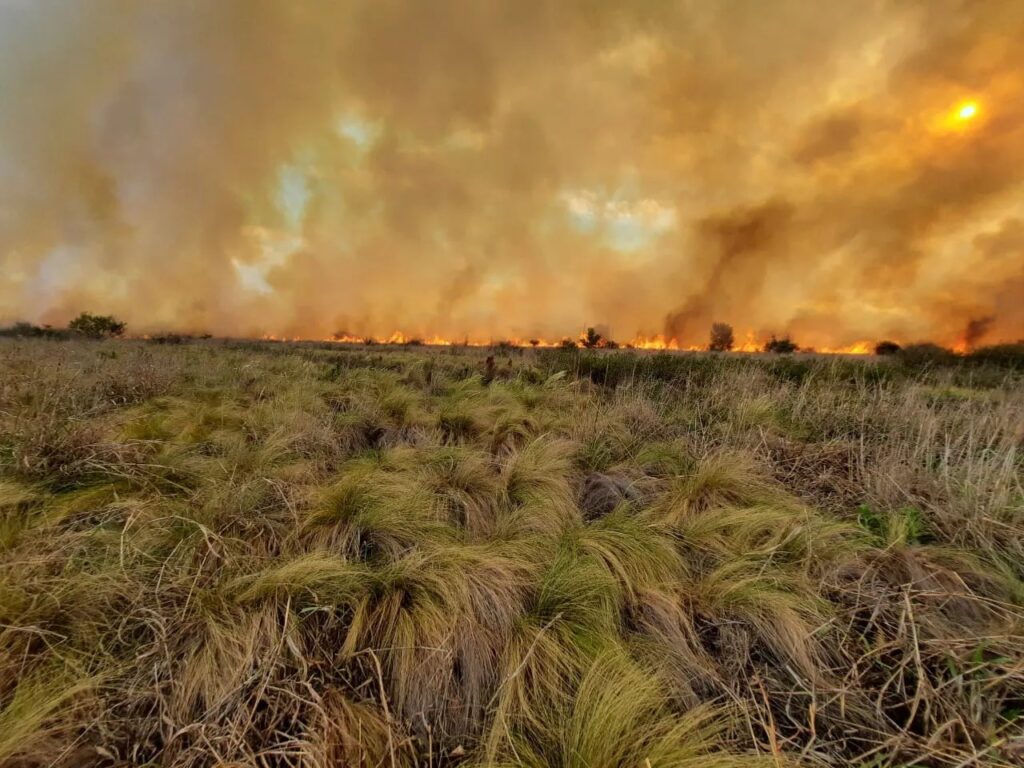 Un incendio fue contenido en cercanías al barrio Siete Soles