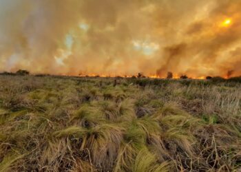 Un incendio fue contenido en cercanías al barrio Siete Soles