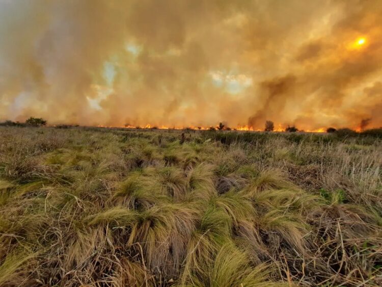 Un incendio fue contenido en cercanías al barrio Siete Soles