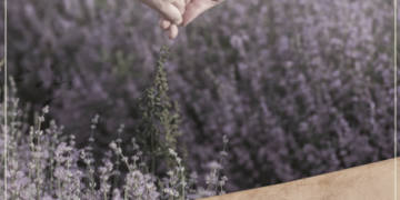 Memorias atemporales